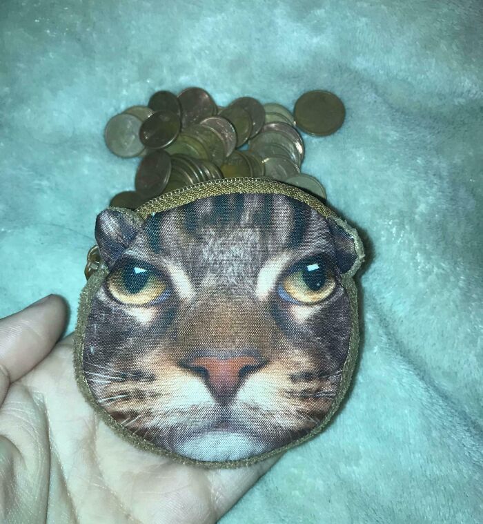 Mincometka s motívom mačky otvorená a zasypaná mincami na mäkkom povrchu.