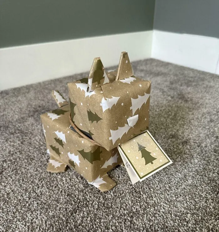 Darček zabalený do papiera s motívom vianočných stromčekov na koberci.