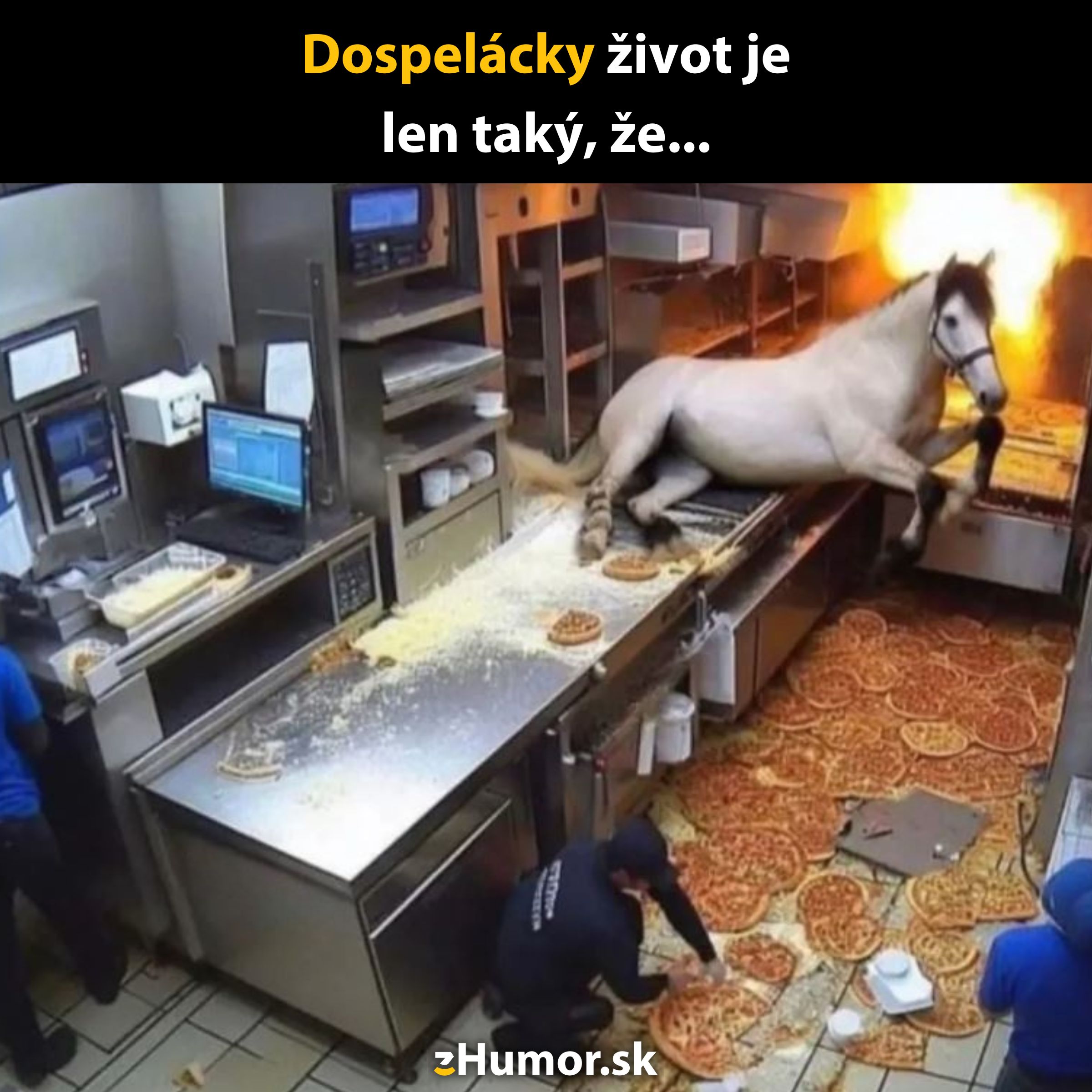 Neznáma situácia v kuchyni s koňom a rozbitými pizzami, chaos a smiech.