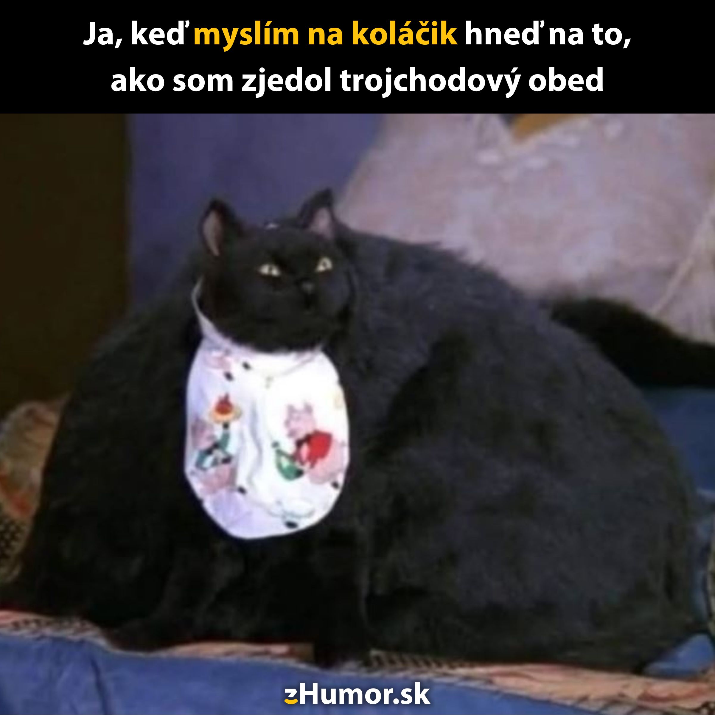 Čierna mačka s podbradníkom sedí na pohovke, meme o pocite po jedle.
