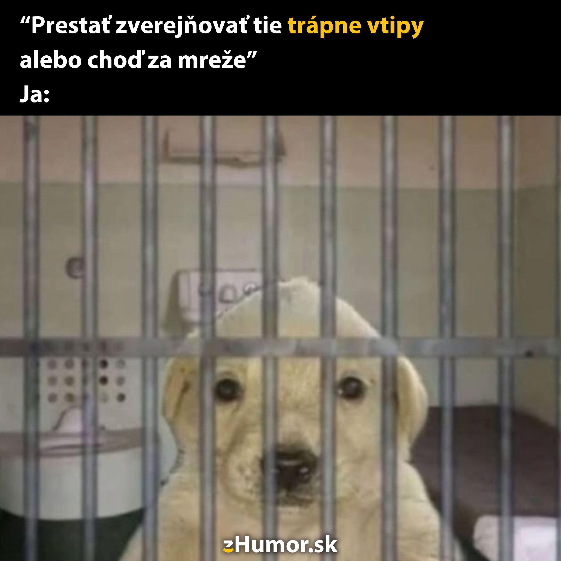 Pes za mrežami s textom Prestaň zverejňovať trápne vtipy alebo choď za mreže.