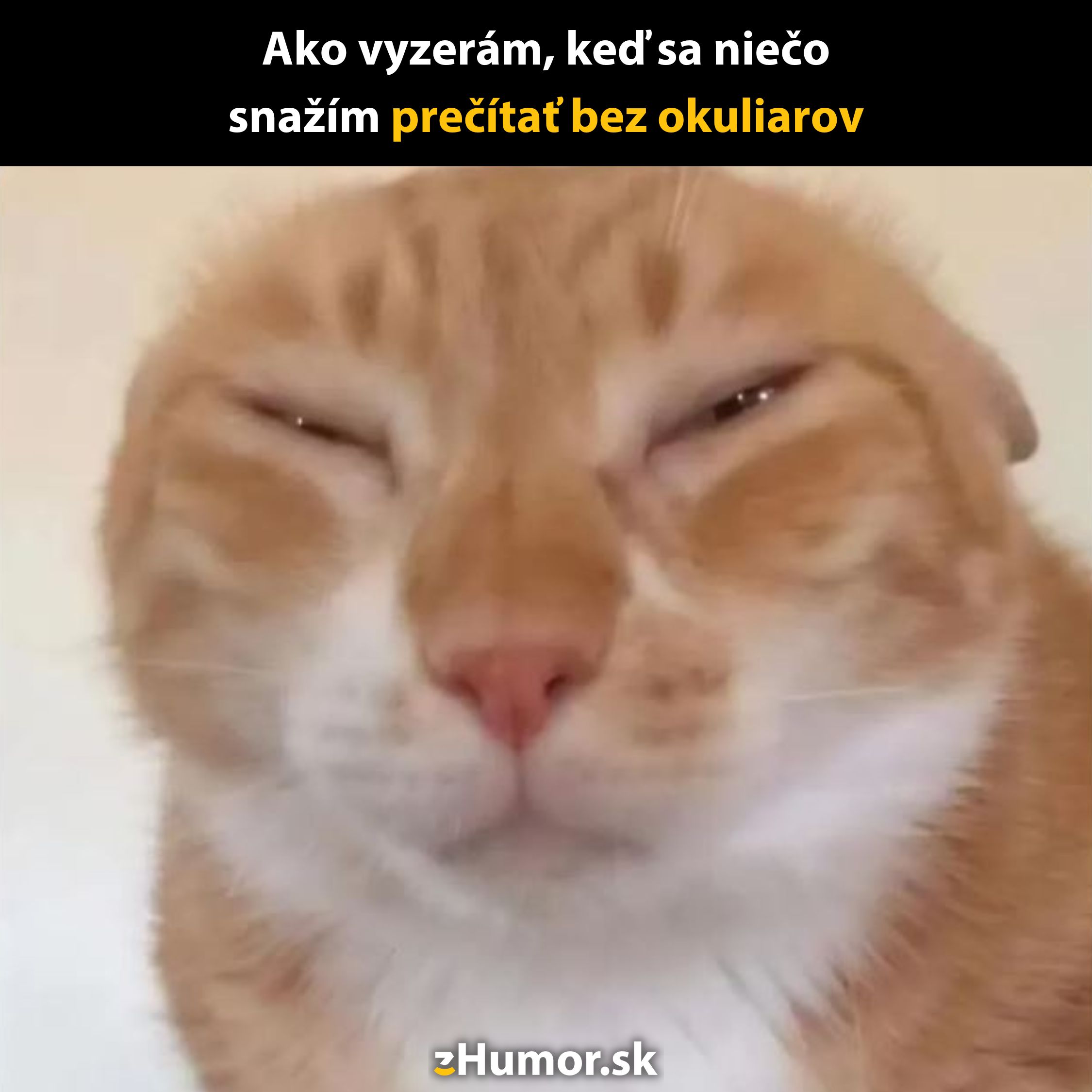 Oranžová mačka so zavretými očami sa snaží niečo prečítať, vtipný pokus pripomínajúci ľudí bez okuliarov.