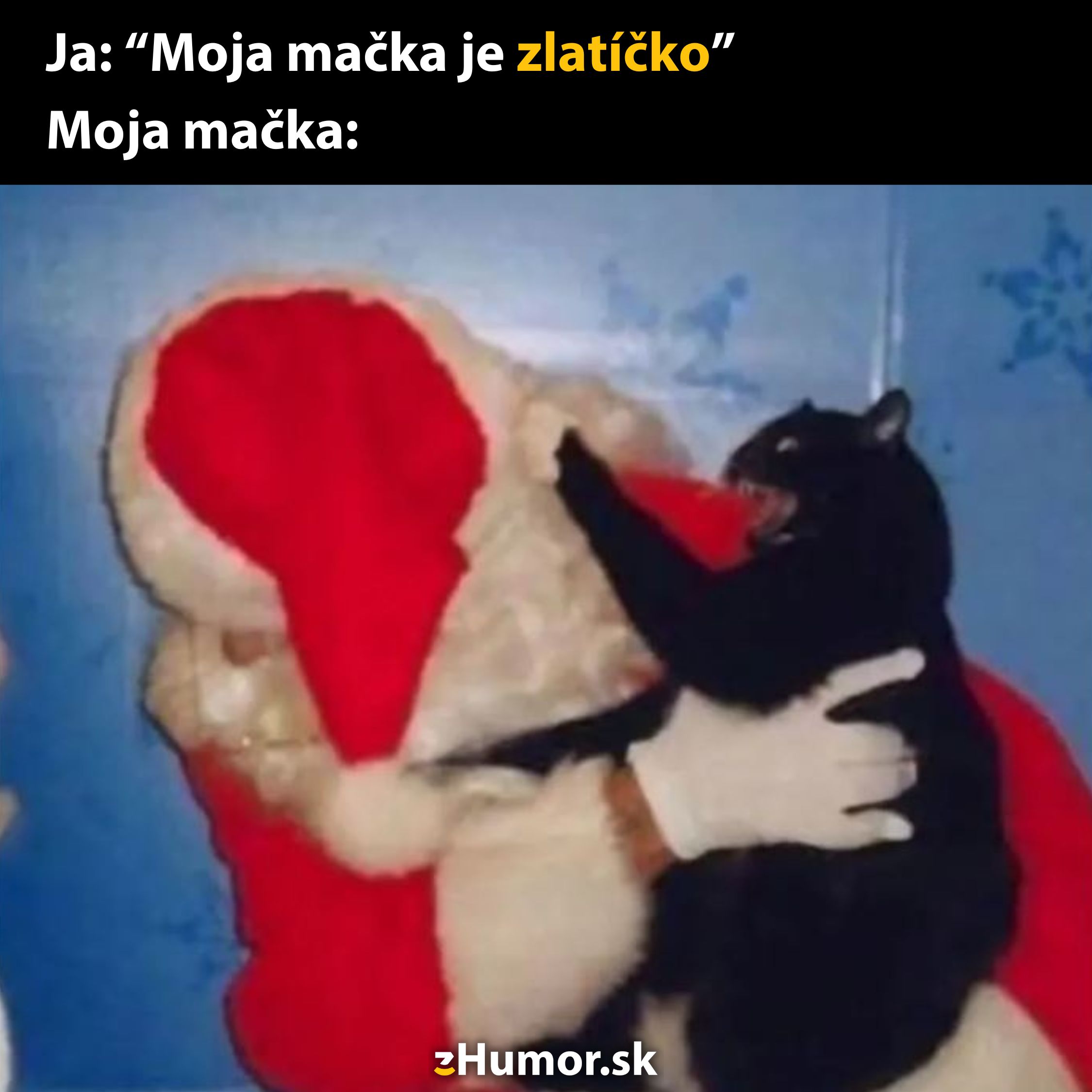 Mačka bojuje so Santom, zatiaľ čo text vtipne kontrastuje s tvrdením majiteľa o milom zvieratku.