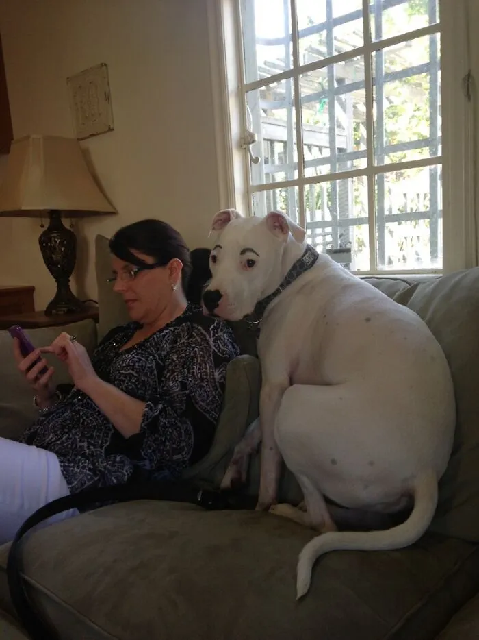 Žena so psom sediacim vedľa na pohovke, pes má namaľované obočie.