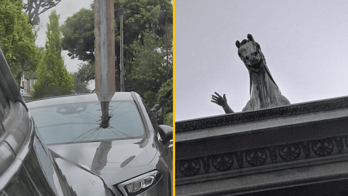 Auto s tyčou cez čelné sklo a socha koňa mávajúca z budovy.