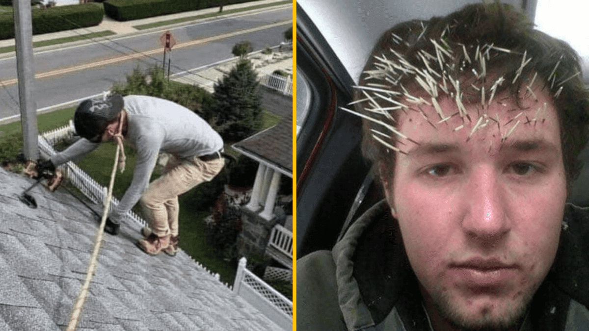 Pracovník na streche s bezpečnostným lanom; muž s množstvom špáradiel vo vlasoch.