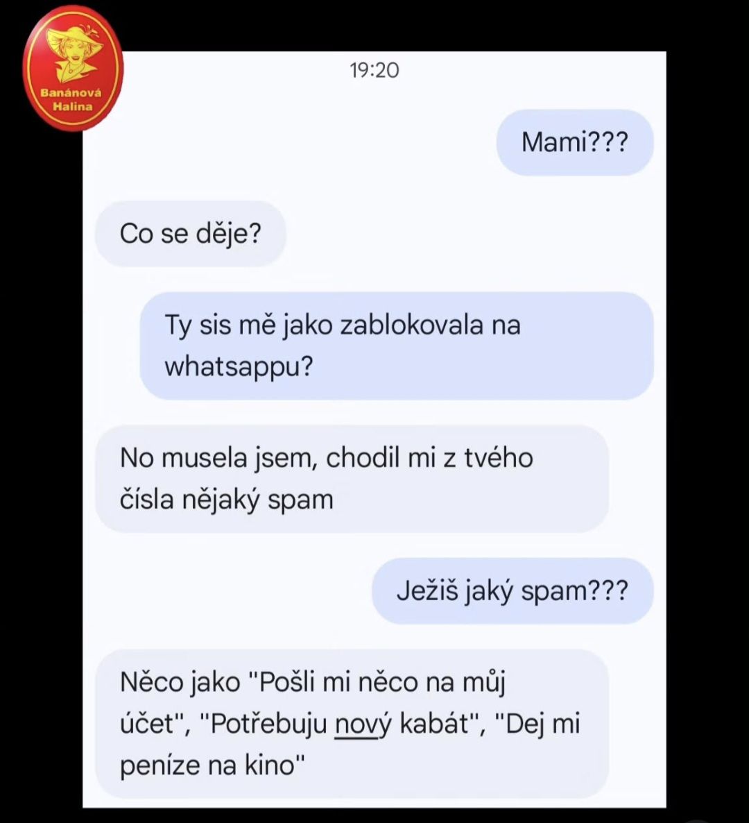 Textová konverzácia na WhatsApp: Syn zisťuje, či ho matka zablokovala kvôli otravnej správe o peniazoch.