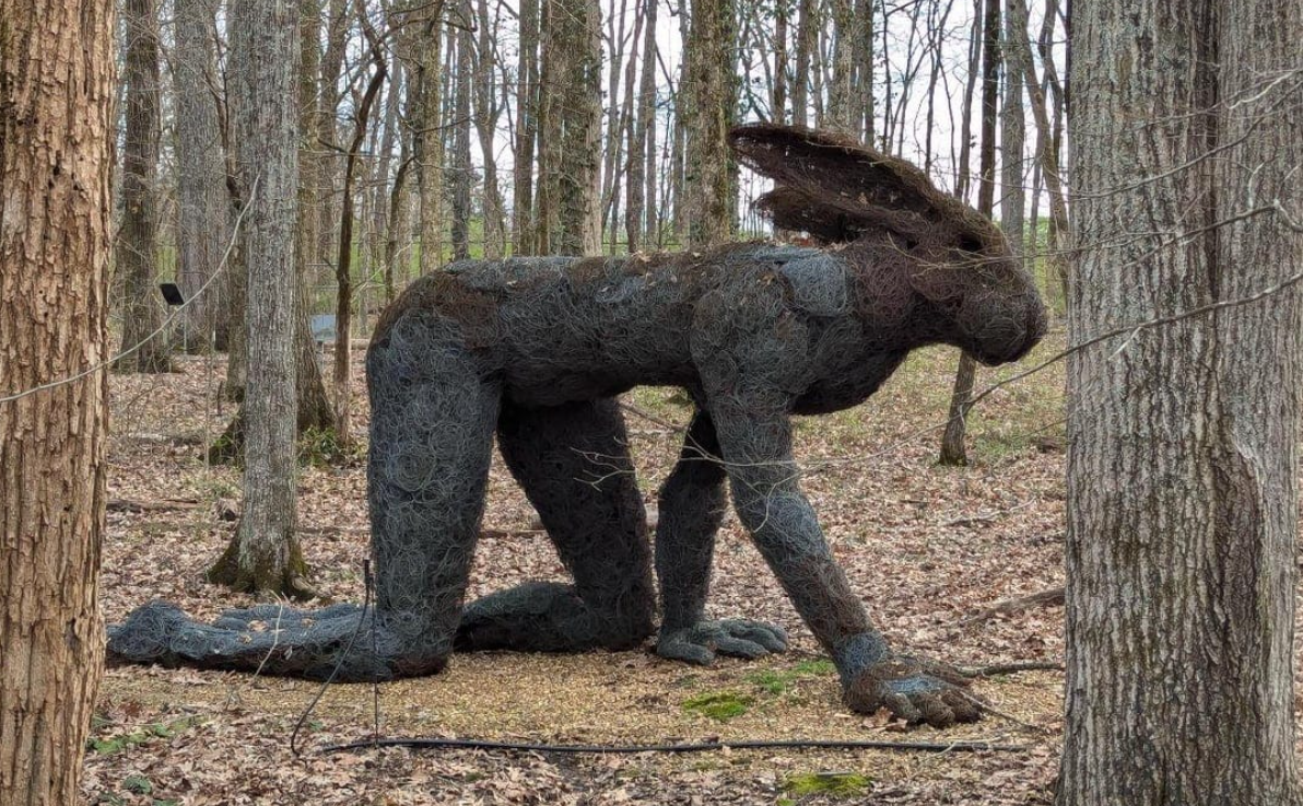 Socha zajaca z drôtu v lese, pripomínajúca mytologické stvorenie na štyroch nohách medzi stromami.