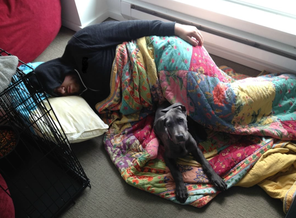 Muž spí vedľa šteniatka na farebnej deke pri okne.