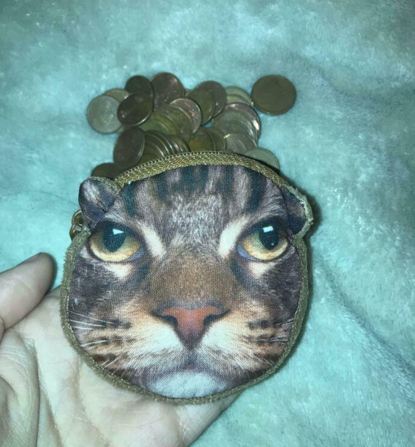 Mince v peňaženke s potlačou mačky na modrom pozadí, držiacej v ruke.