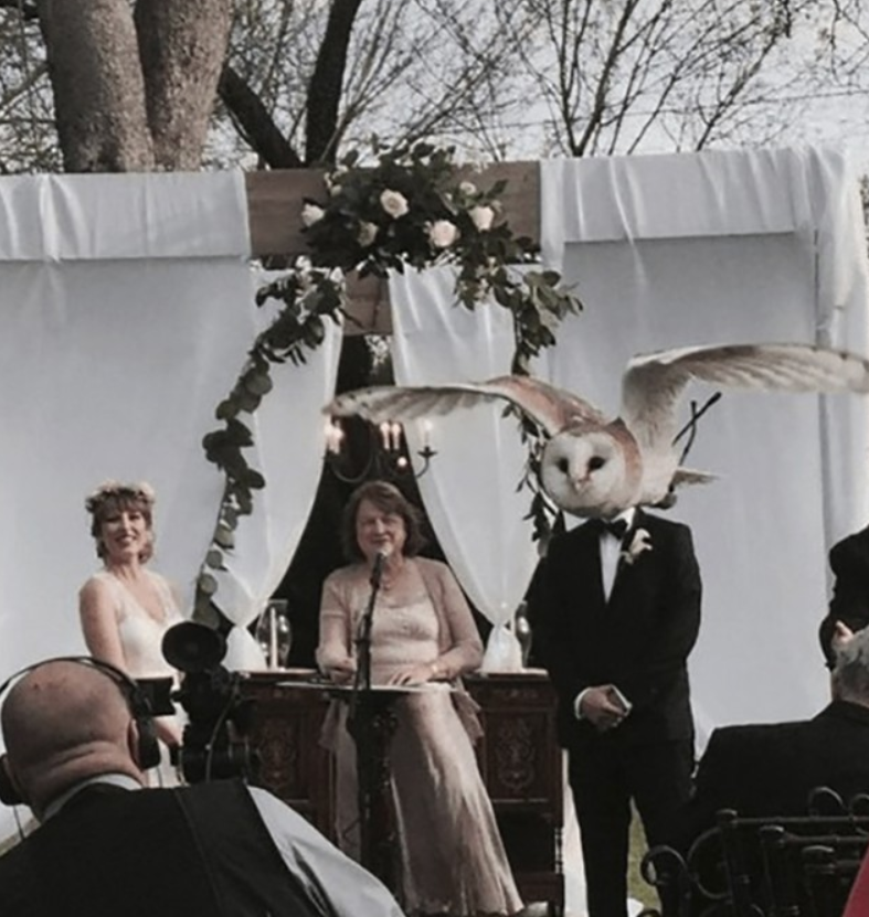 Svadobný obrad s prelietavajúcou sovou nad ženíškom, svadobní hostia s úsmevom.