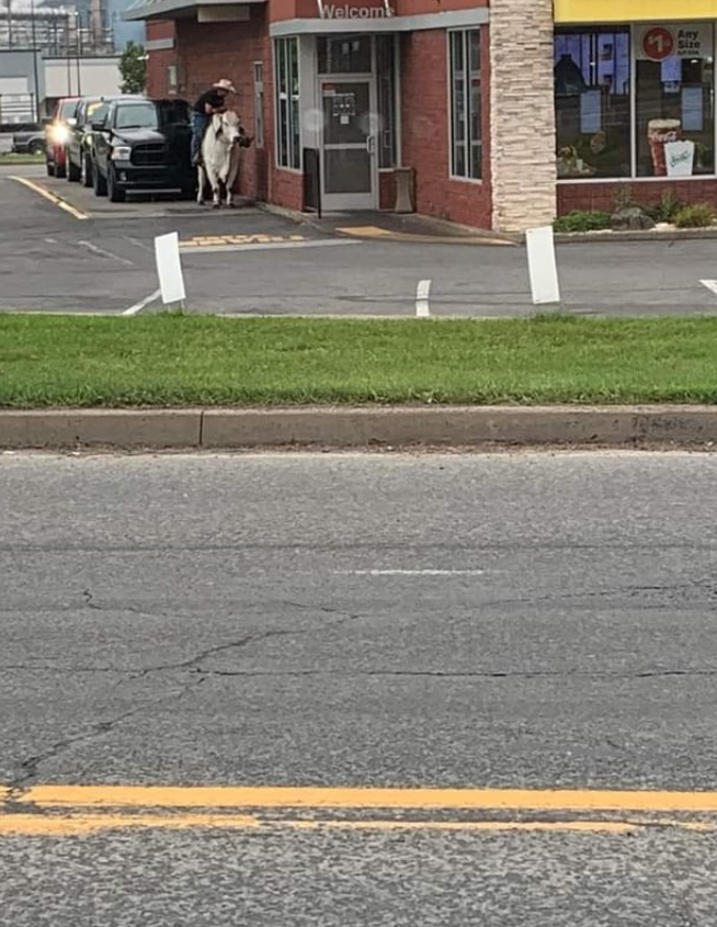 Jazdec na koni čaká na príchod na drive-thru pred reštauráciou.