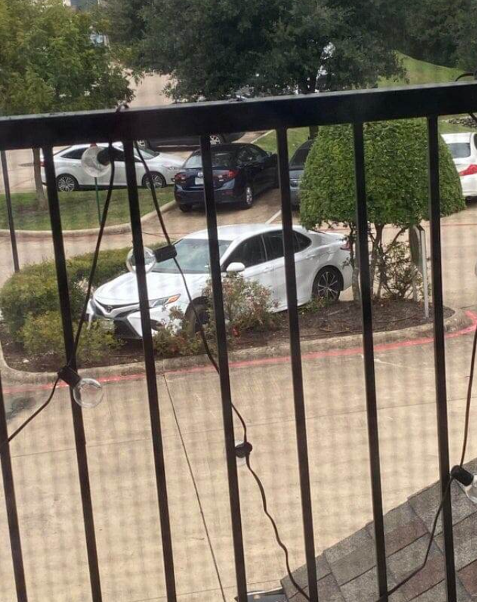 Auto nesprávne zaparkované medzi kríkmi, pohľad cez sklenené dvere s vianočnými svetlami v popredí.