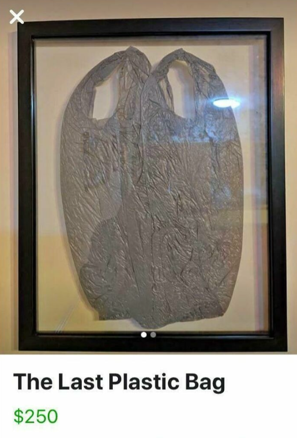 Obrázok zarámovanej plastovej tašky s názvom The Last Plastic Bag za cenu 250 dolárov.