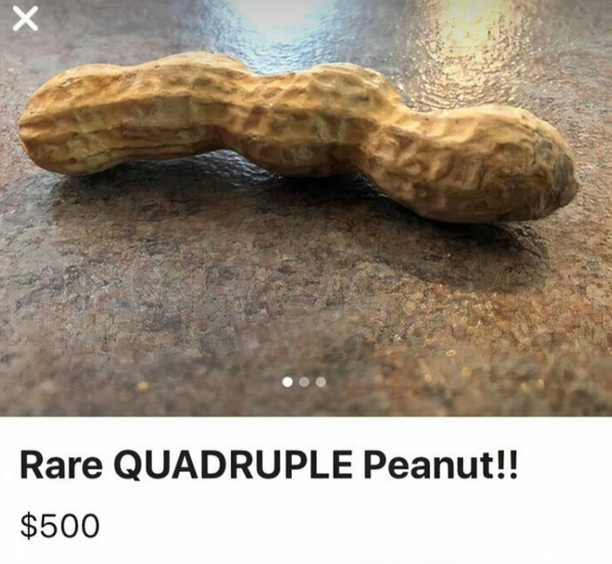 Zriedkavá štvornásobná arašidová škrupina na tmavom povrchu.