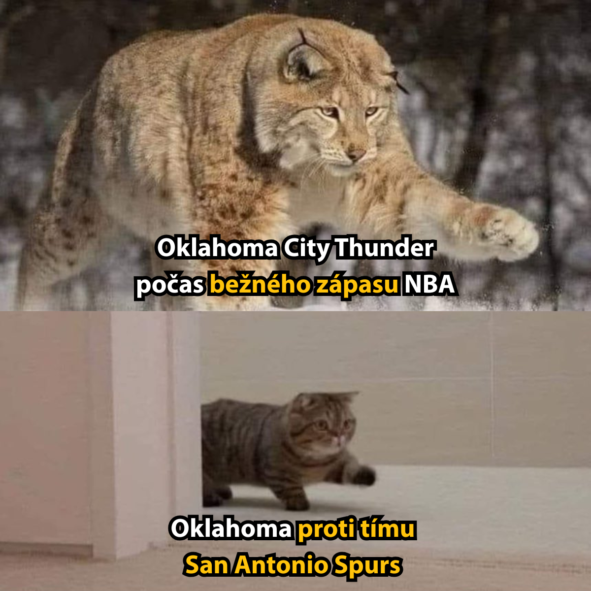 Dva obrázky mačiek ilustrujú rozdielny výkon Oklahoma City Thunder v bežných zápasoch NBA a proti San Antonio Spurs.