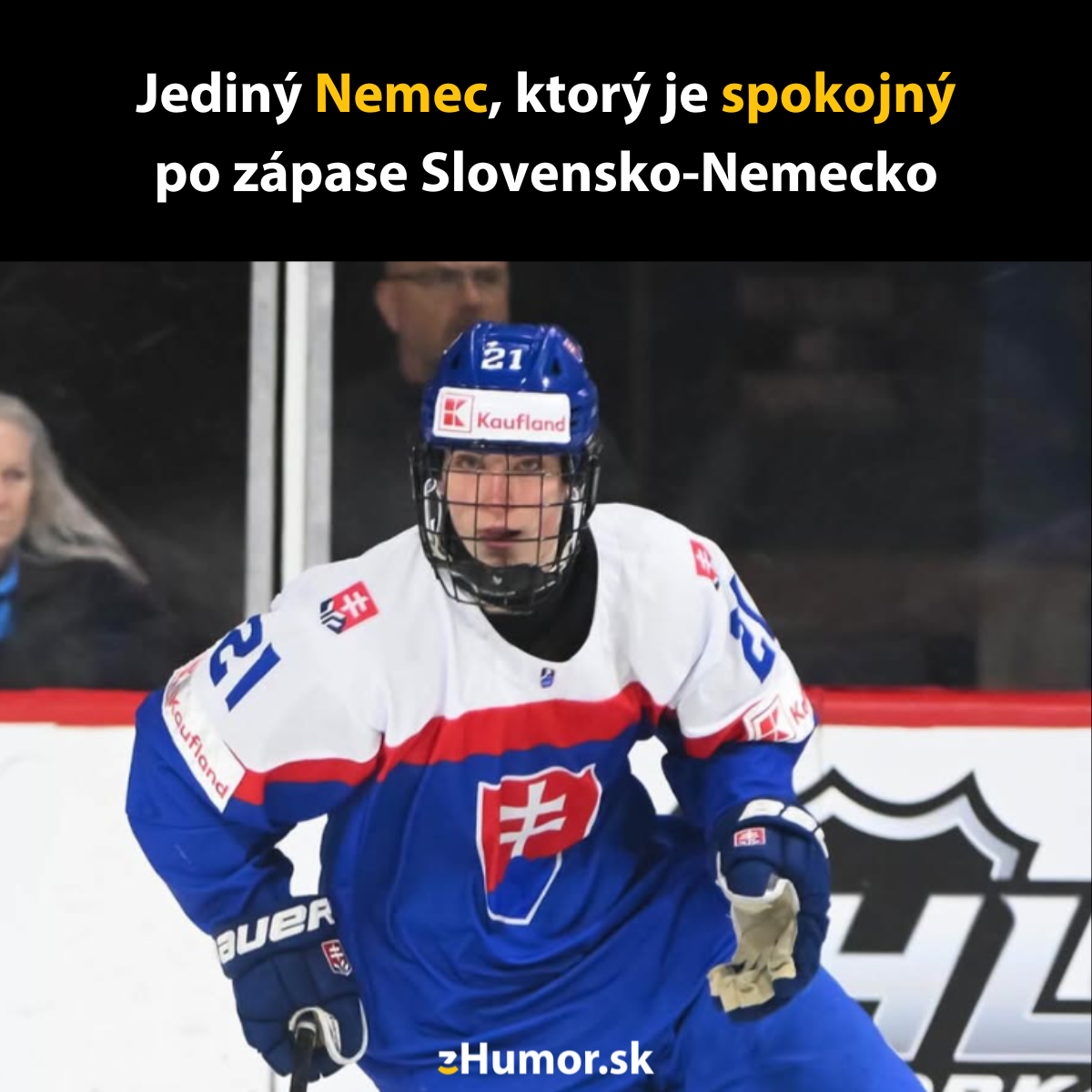 Slovenský hokejista na ľade počas zápasu Slovensko-Nemecko v hokejovej výstroji.