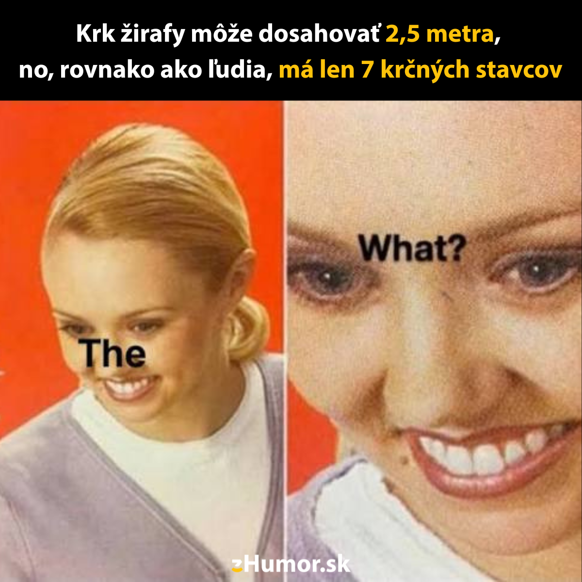 Žena prekvapene reaguje na fakt o rovnakom počte krčných stavcov u žirafy a človeka.