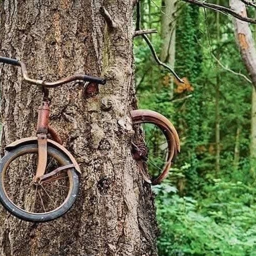 Starý bicykel pohltený stromom v lese ilustruje silu prírody a plynutie času.