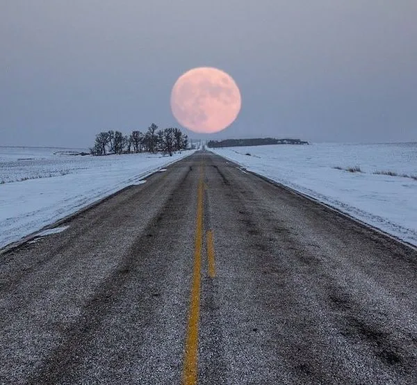 Cesta pri západe mesiaca s rozľahlou zasneženou krajinou a skupinou stromov v diaľke.