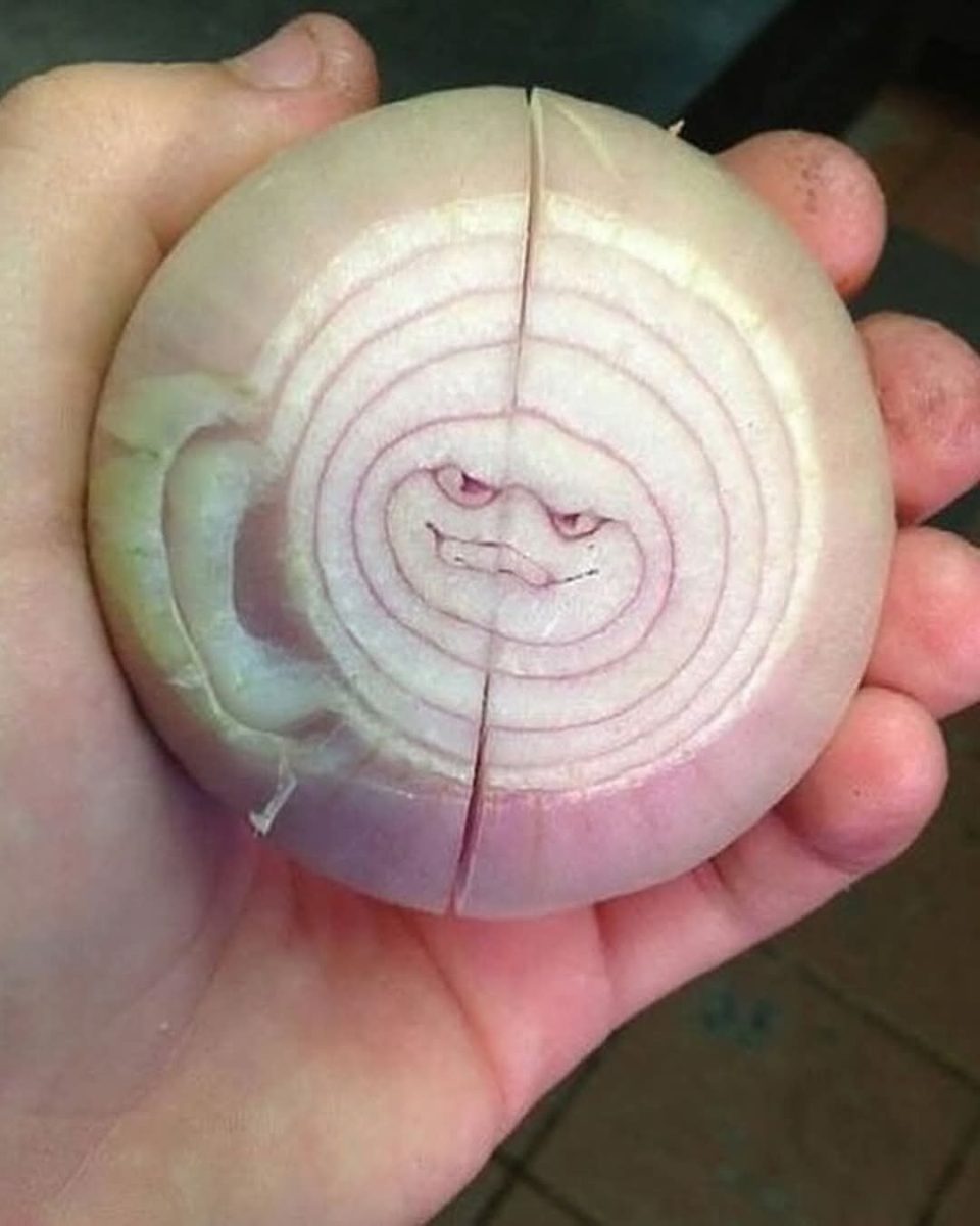 Cibuľa so vzorom tváre v reze, držiaca v ruke, vytvára zábavný a originálny vzhľad v kuchyni.