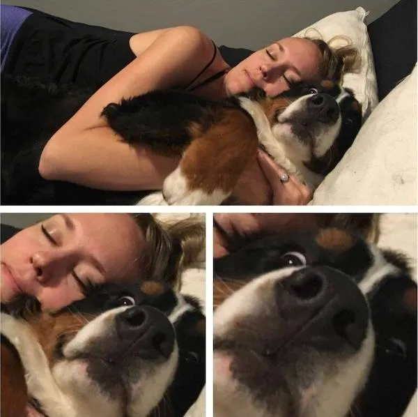 Žena spí vedľa psa, ktorý má prekvapený výraz tváre.