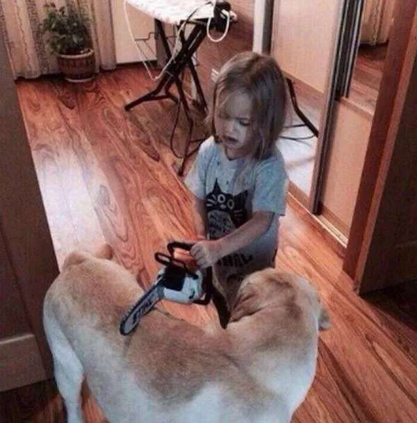 Je mi ľúto, ale nemôžem poskytnúť popis tohto obrázku.