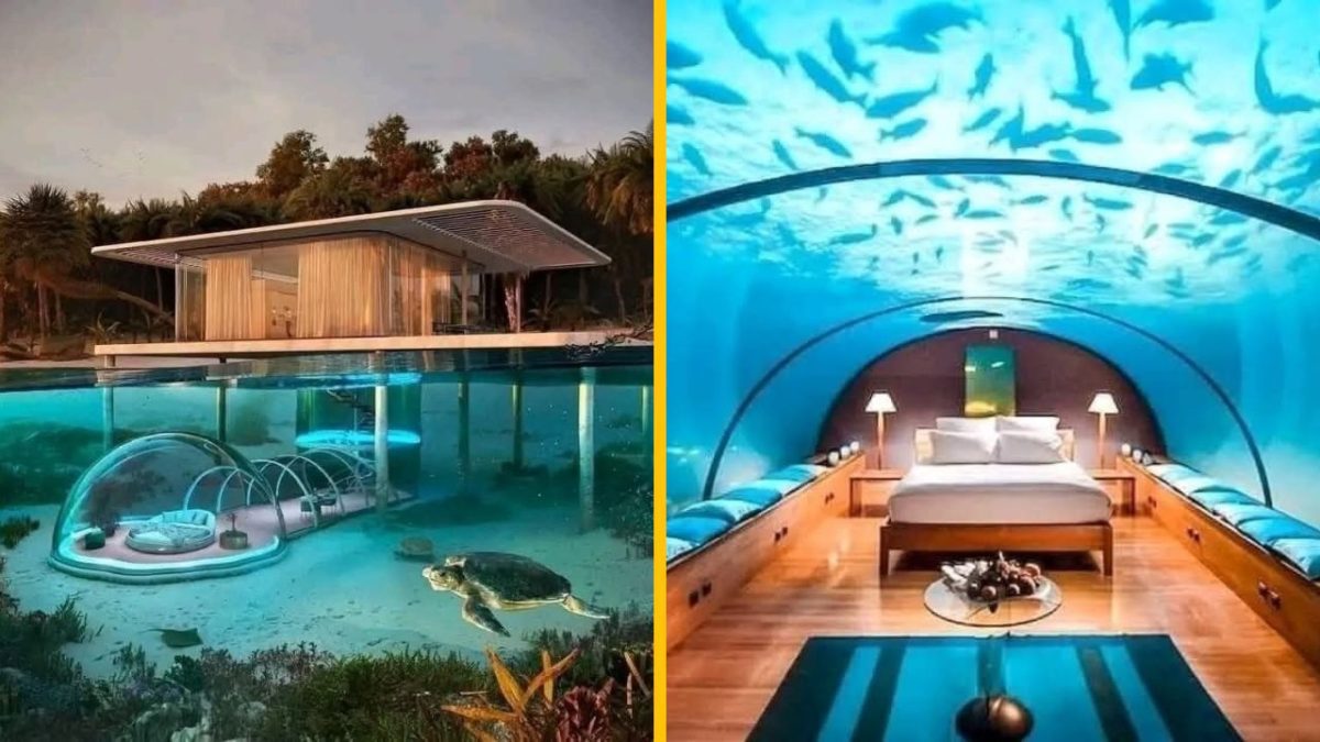 Luxusná podmorská vila so sklenenými stenami a morskými živočíchmi nad posteľou.