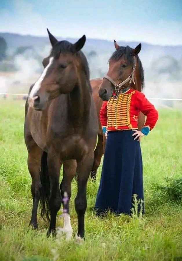 Dva hnedé kone na lúke, jeden s kabátom a hlavou človeka, pozadie rozmazané.