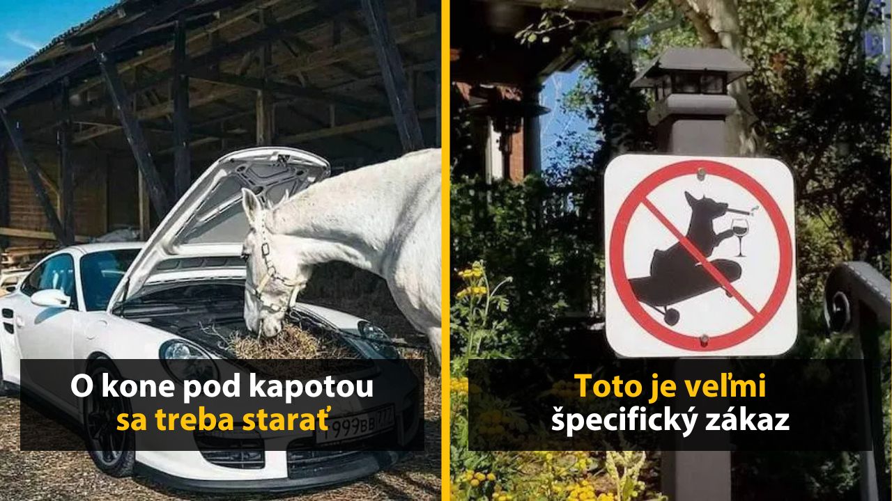 Kôň kontroluje motor auta, vedľa zákazová značka pre psa s pohárom vína.