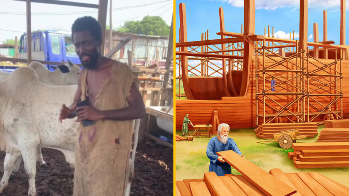 Muž v ošumelom odeve stojí pri bielom dobytku; veľká stavba drevenej lode prebieha s pracovníkmi a nástrojmi.