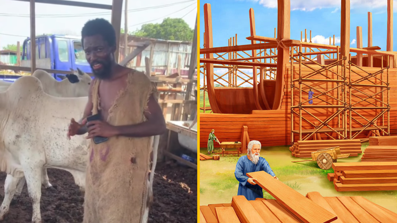 Muž v ošumelom odeve stojí pri bielom dobytku; veľká stavba drevenej lode prebieha s pracovníkmi a nástrojmi.