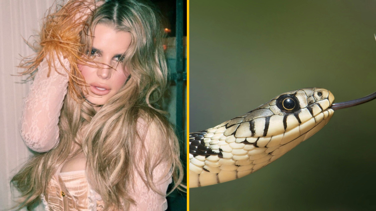 Záhadná žena s dlhými vlasmi a detail hlavy hada s vyplazeným jazykom na rozdelenej fotografii.