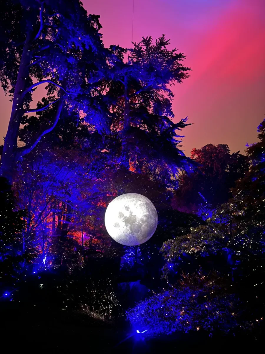 Magická nočná scéna s veľkým mesiacom nad farebne osvetlenou lesnou krajinou.