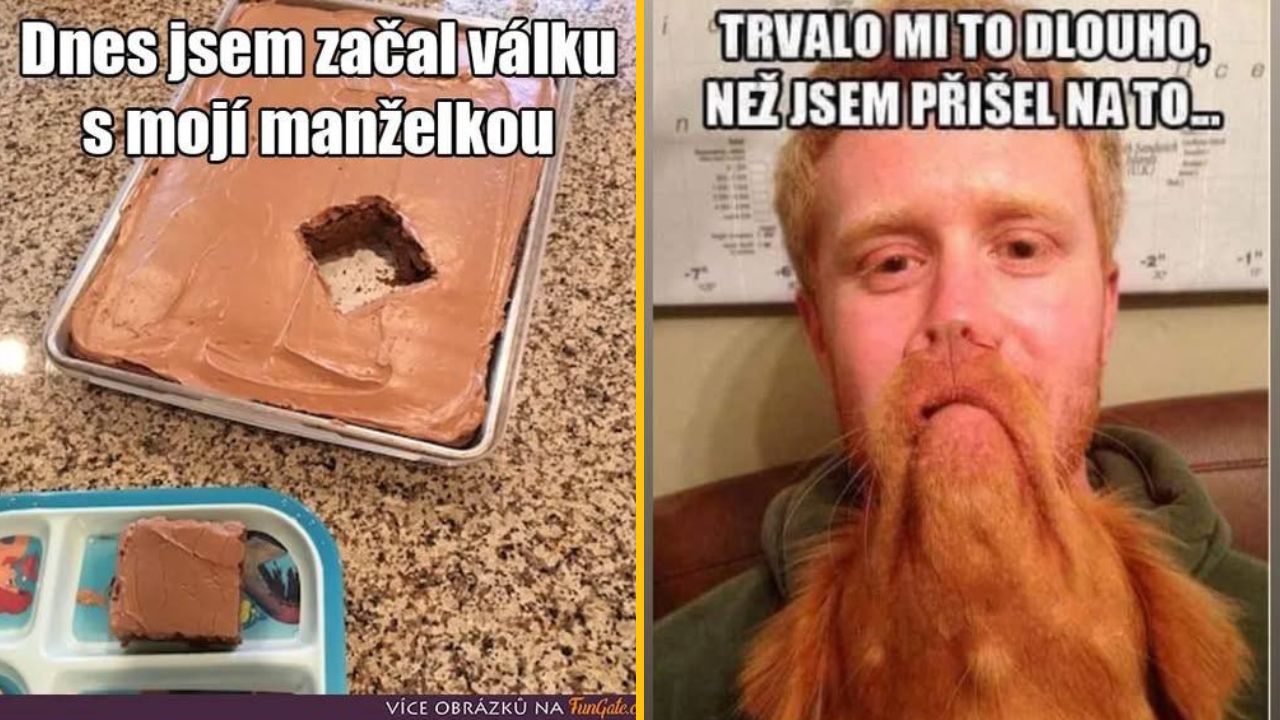 Muž s dlhou bradou a plech plný čokoládového koláča s odrezaným kúskom. Vtipný obrázok so zvláštnym humorom.