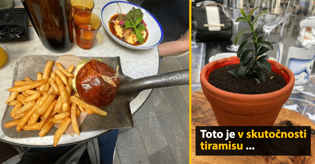 Jedlo na lopatke a dezert v kvetináči, ktorý je tiramisu, na stole s pohármi a tanierom.