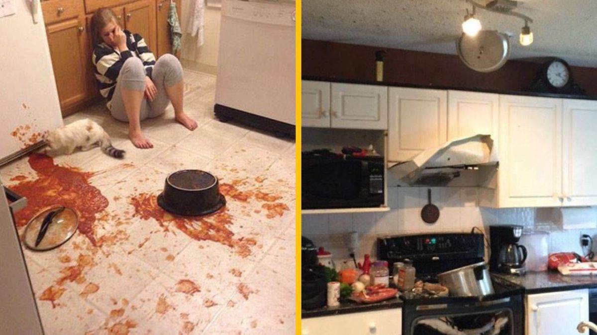 Rozliata omáčka na kuchynskej podlahe, žena sedí vedľa, prevrhnutý hrniec, v neporiadku kocúr.