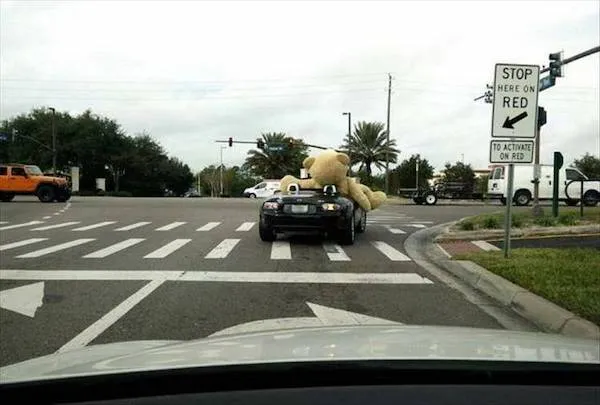 Auto na križovatke nesie obrovského plyšového medveďa na streche, pripravené na ďalšiu jazdu.