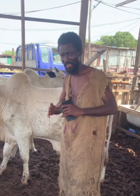 Muž v roztrhanom oblečení stojí vedľa bielej kravy v ohrade, drží mobilný telefón.