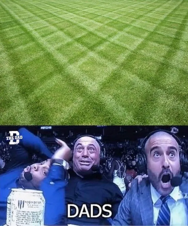 Otvorená ústa a nadšenie pri pohľade na krásny vzor trávnika, meme o reakcii otcov.