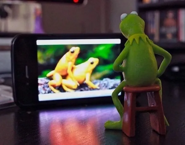 Žabka sedí na stoličke, pozerá na mobil s obrázkom dvoch žabiek.