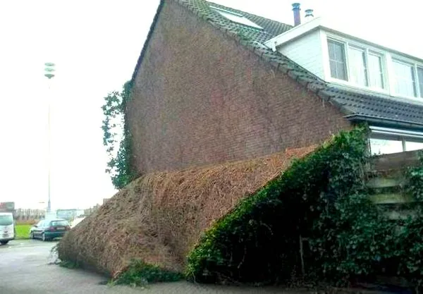Dom s nezvyčajne šikmou fasádou a popínavými rastlinami na dvore.