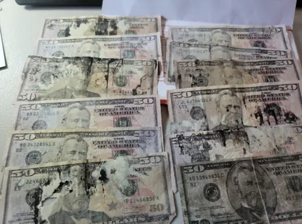 Poškodené americké päťdesiatdolárové bankovky usporiadané na stole, zreteľné známky opotrebenia a škvŕn.