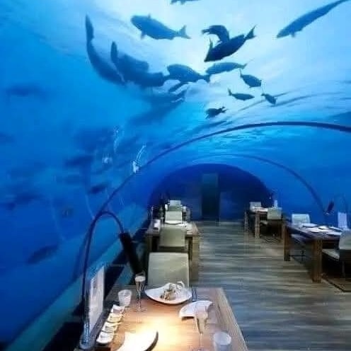 Podmorská reštaurácia s tunelom, rybami nad hlavami a elegantnými stolmi na drevenej podlahe.