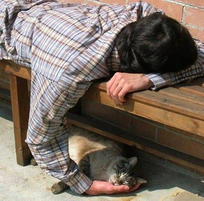 Osoba odpočíva na lavičke a mačka spokojne spí v jej rukách na slnečnom mieste.