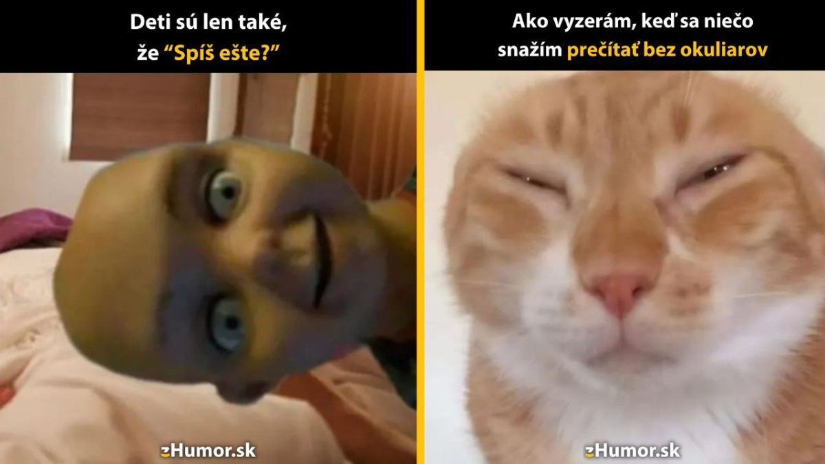 Zábavný kontrast: Dieťa s otázkou Spíš ešte? a mačka snažiaca sa čítať bez okuliarov.