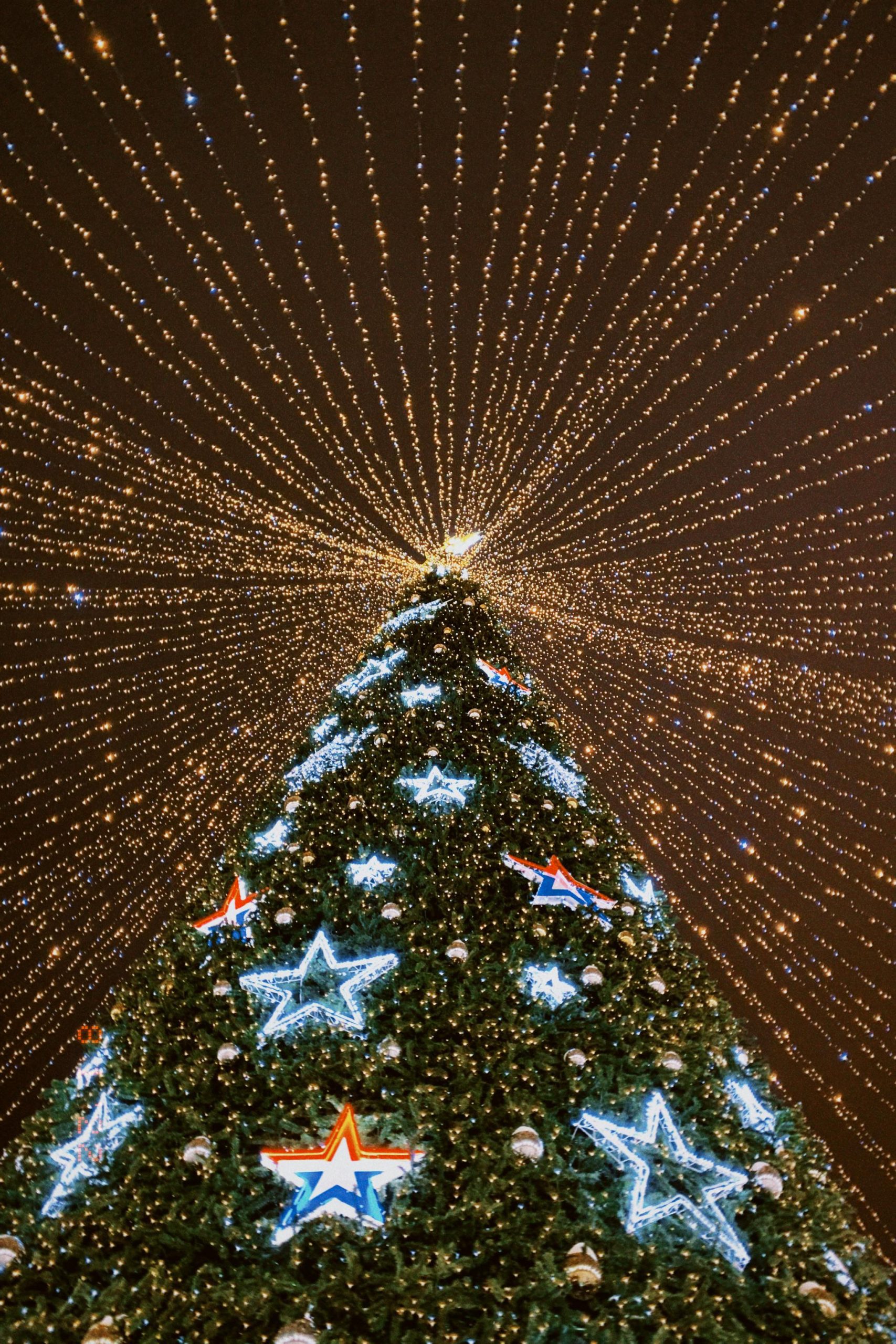 Vianočný stromček s dekoráciou v tvare hviezd a svetiel zdobiaci nočnú oblohu.