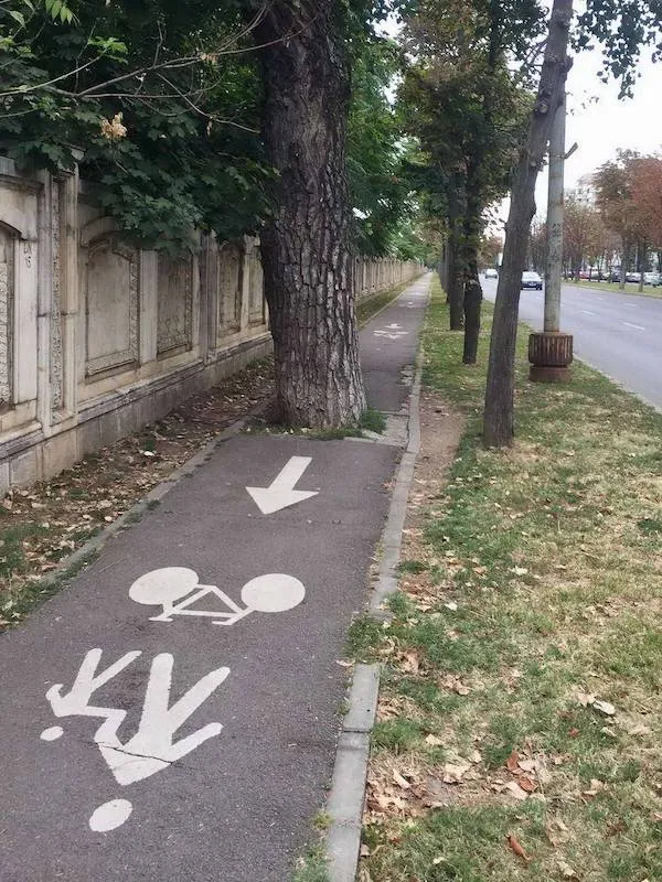 Cyklochodník s prekážkou stromu, neštandardný priechod pre cyklistov v meste.