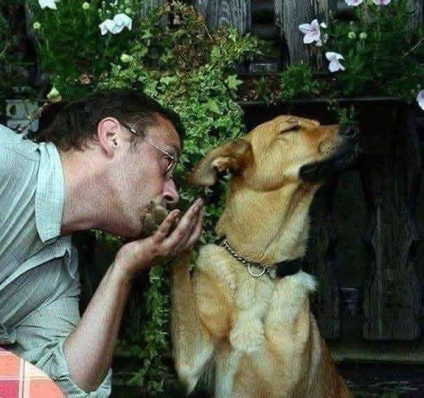 Muž s okuliarmi a pes vtipne interagujú v záhrade s kvetmi na pozadí.