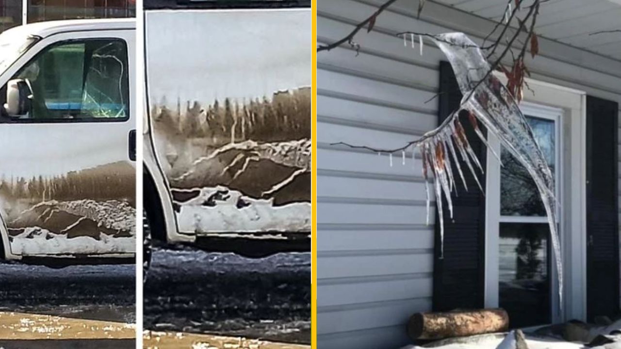 15+ fotografií, ktoré dokazujú, že umenie sa môže prejaviť v čomkoľvek